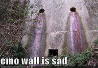 Emo wall