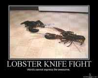 Lobster knife fight - The most awesome fight