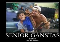 Seniorit