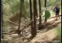 Biker Headplants Full-Speed Into Tree