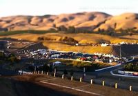 FD Sonoma- Tilt-Shift Formula