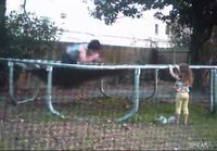 Little Girl Owned On Trampoline