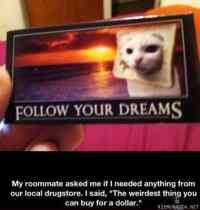 Follow your Dreams