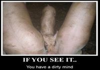 Dirty mind