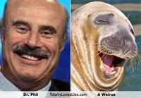 Walrus & Dr. Phil