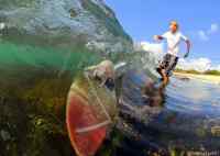 hiiri surffaa - &lt;a href=&quot;http://www.dailymail.co.uk/news/worldnews/article-1078449/Pictured-The-incredible-surfing-rats-taught-ride-4ft-waves.html&quot; target=&quot;_blank&quot;&gt;http://www.dailymail.co.uk/news/worldnews/article-1078449/Pictured-The-incredible-surfing-rats-taught-ride-4ft-waves.html&lt;/a&gt;