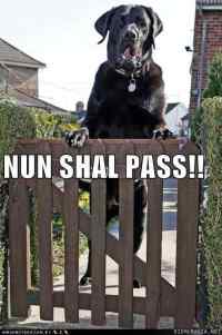 None shall pass!