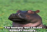 Hungry hippo