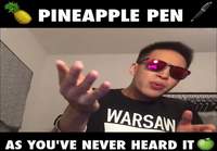 Paras version PPAP:sta