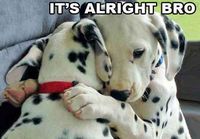 It\'s alright bro