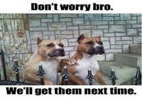 Don\'t worry bro