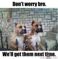 Don&#039;t worry bro