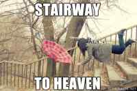 Stairways to heaven