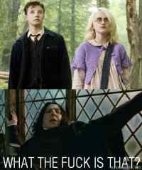 Potter - Potter