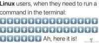 Linux terminal users