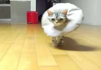 Catwalk