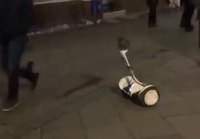 Pöllö ajelee segwaylla