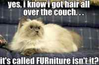 FURniture