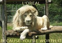 L\'oreal